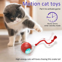 Balle Roulante Interactive pour Chats | Bruits d'Oiseau - Digital Store accessoires pour animeaux