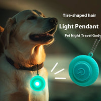 Pendentif LED Lumineux pour Chien et Chat - Avertissement de Sécurité | Digital Store