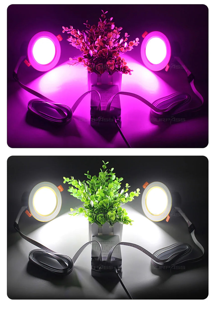 Lampe Musique Intelligente LED - Haut-Parleurs Bluetooth Intégrés - Digital Store led