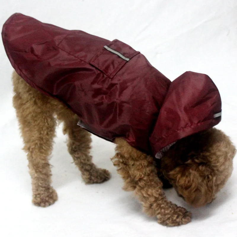 Imperméable pour Chien - Veste à Capuche, Poncho de Pluie - Digital Store vetements pour animaux