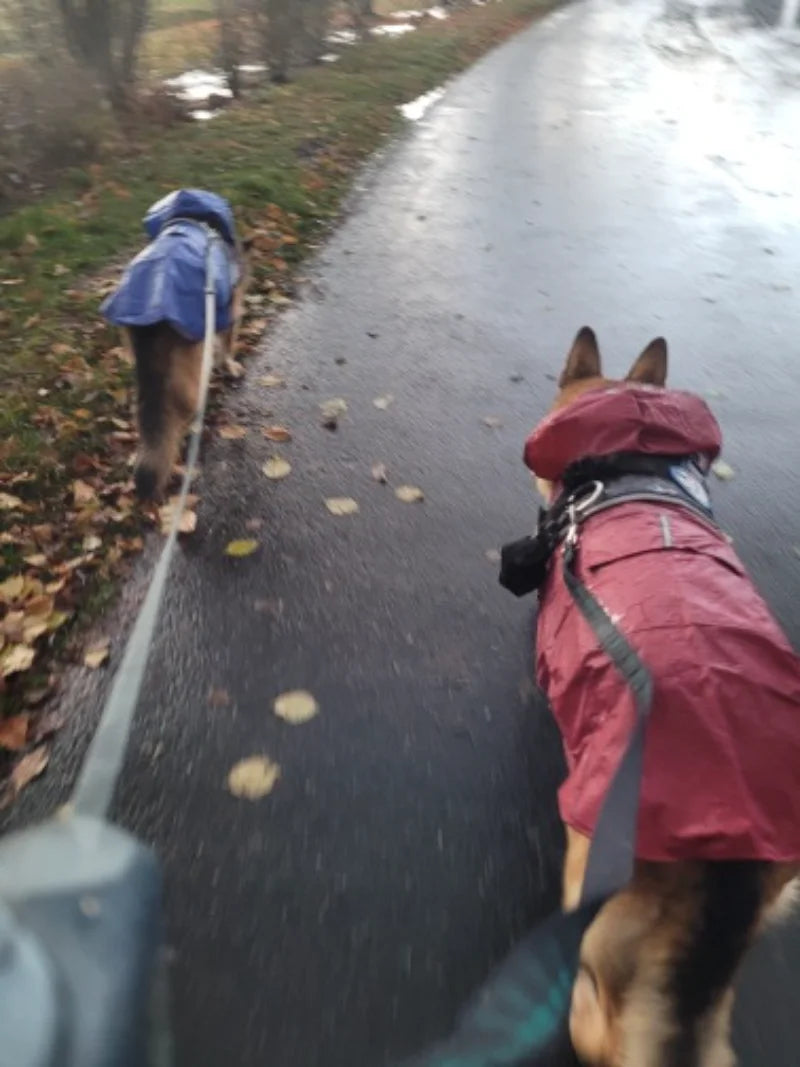 Imperméable pour Chien - Veste à Capuche, Poncho de Pluie - Digital Store vetements pour animaux