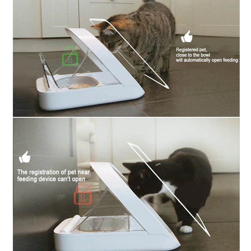 Gamelle Automatique pour Animaux - Identification par Puce Surefeed - Digital Store Gamelles et mangeoires pour animaux de compagnie