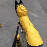 Imperméable pour Chien - Veste à Capuche, Poncho de Pluie - Digital Store vetements pour animaux