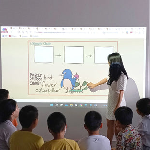 Tscreen - Tableau Blanc Intelligent Tactile 30-150'' pour Enseignement