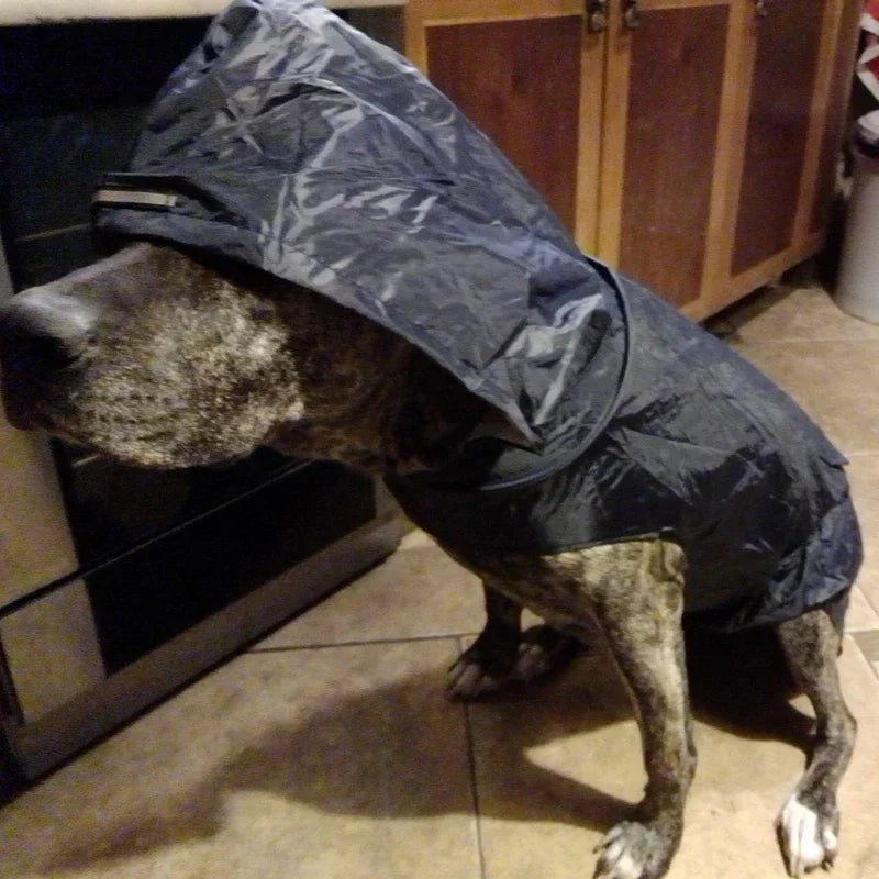 Imperméable pour Chien - Veste à Capuche, Poncho de Pluie - Digital Store vetements pour animaux