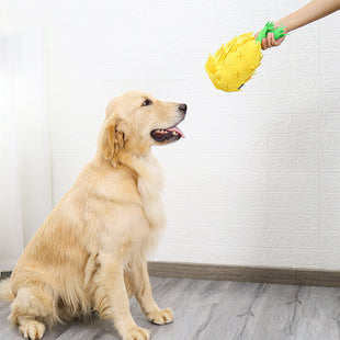 Jouet Ananas pour Animaux | Stimulation et Enrichissement Sensoriel